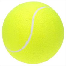 Pelota de Tenis